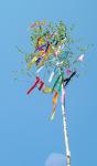 Maibaum