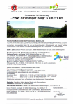 Flyer Permanentwanderweg Mittelstrimmig